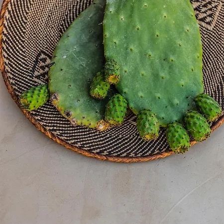 Mimi And Coco Corfu Paramonas (Corfu)