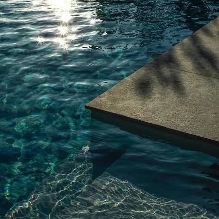 Willa Mimi And Coco Corfu